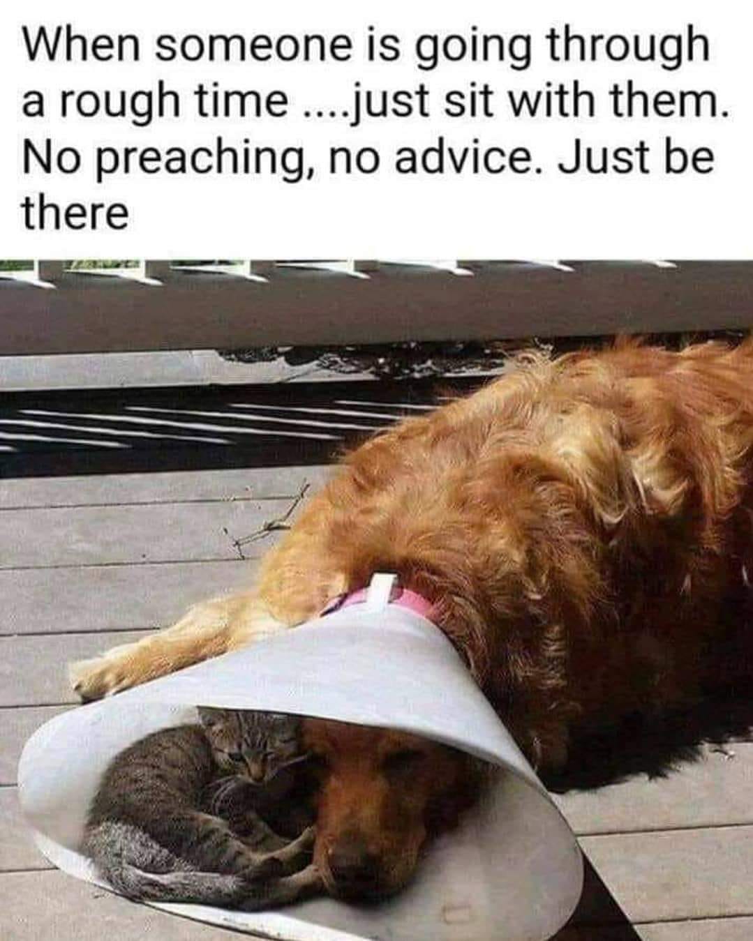 When someone is down, just be with them - words are not necessary